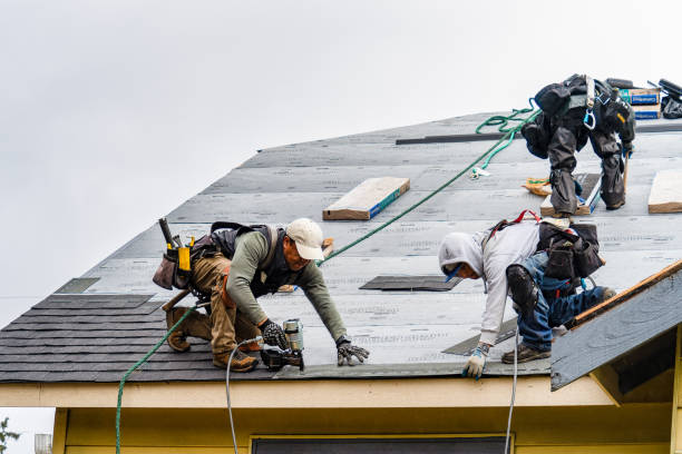 Professional Roofing technician working in Davenport, CA